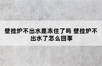 壁挂炉不出水是冻住了吗 壁挂炉不出水了怎么回事